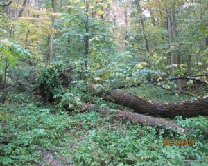 IMG_0044.JPG