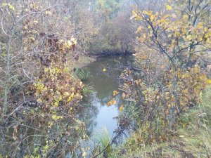 IMG_20161008_084307.jpg