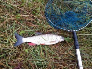 IMG_20161008_084259.jpg