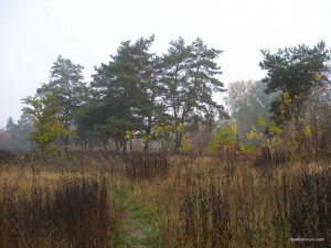 P1010009.JPG