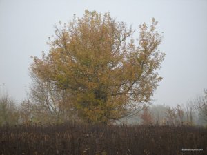 P1010010.JPG