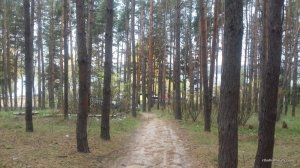 20161008_130235.jpg