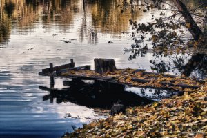 _MG_0078_HDR.jpg