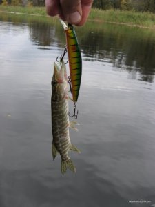 IMG_1407.JPG