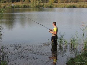 IMG_3431.JPG