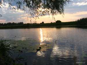 IMG_5983.JPG