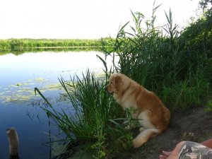 IMG_5997.JPG