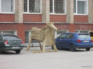 IMG_1979.JPG