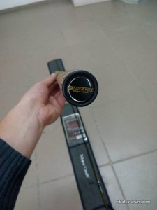 IMG_20161011_160820_489x652.jpg