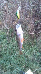 IMG_20161012_083852.jpg