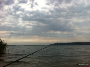 IMG_2887.JPG