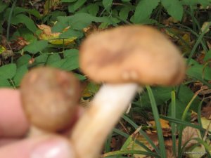 IMG_7741.JPG