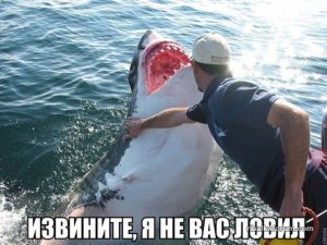 izvinite-ya-ne-vas-lovil-list.jpg