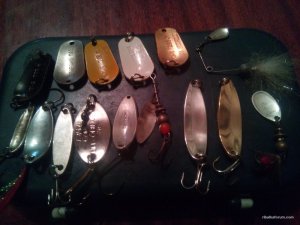 IMG_20161014_192550.jpg
