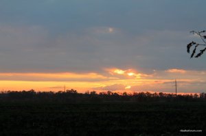 IMG_2136.JPG
