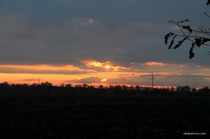 IMG_2137.JPG
