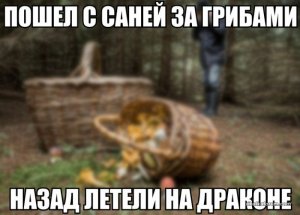 1475654543_98.jpg