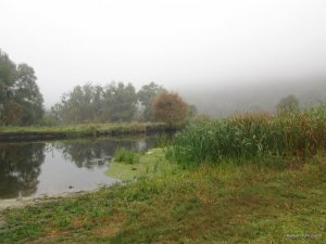 IMG_4332.JPG