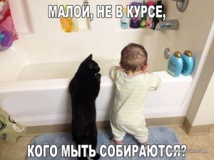V8lW2Ohdpe4.jpg