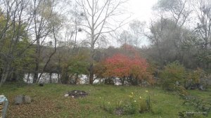 IMG_20161016_133126.jpg