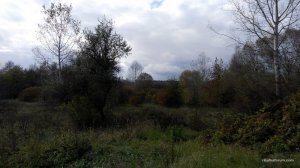IMG_20161016_140608.jpg