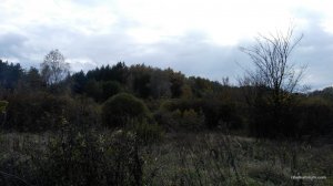 IMG_20161016_140613.jpg