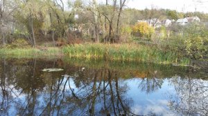 IMG_20161016_140545.jpg