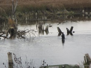 IMG_3990.JPG