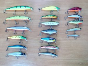 IMG_20161019_111500.jpg
