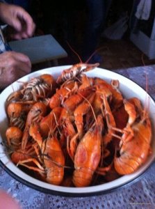 IMG_2895.JPG