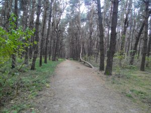 IMG_20161021_121854.jpg
