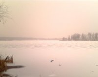 IMG0288A.jpg