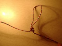 DSCF1417.jpg