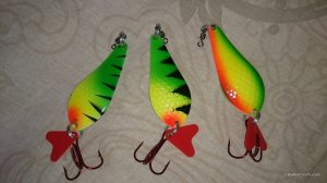 photo_rsized-4.jpg