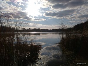 IMG_20161022_152043.jpg
