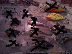 IMG_20161015_183007.jpg