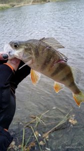 IMG_20161023_120625.jpg