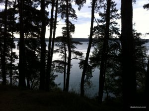 IMG_2922.JPG