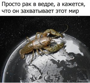 6bc9vbhTMIQ.jpg