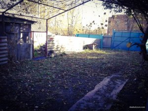 20161022_152229_edited.jpg