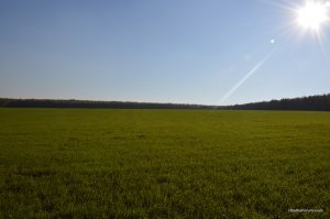 DSC_0918.JPG