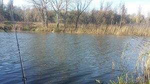20161026_103918.jpg