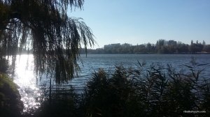 20161026_110255.jpg
