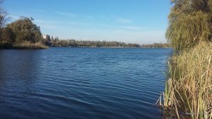 20161026_115241.jpg