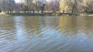 20161026_115243.jpg