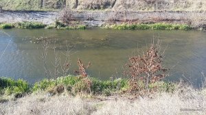 20161026_115735.jpg