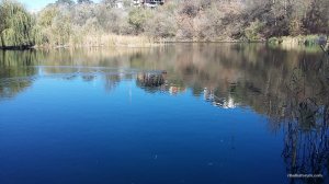 20161026_122229.jpg