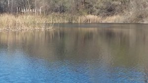 20161026_123402.jpg
