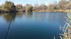 20161026_125454.jpg