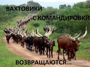 image (1).png